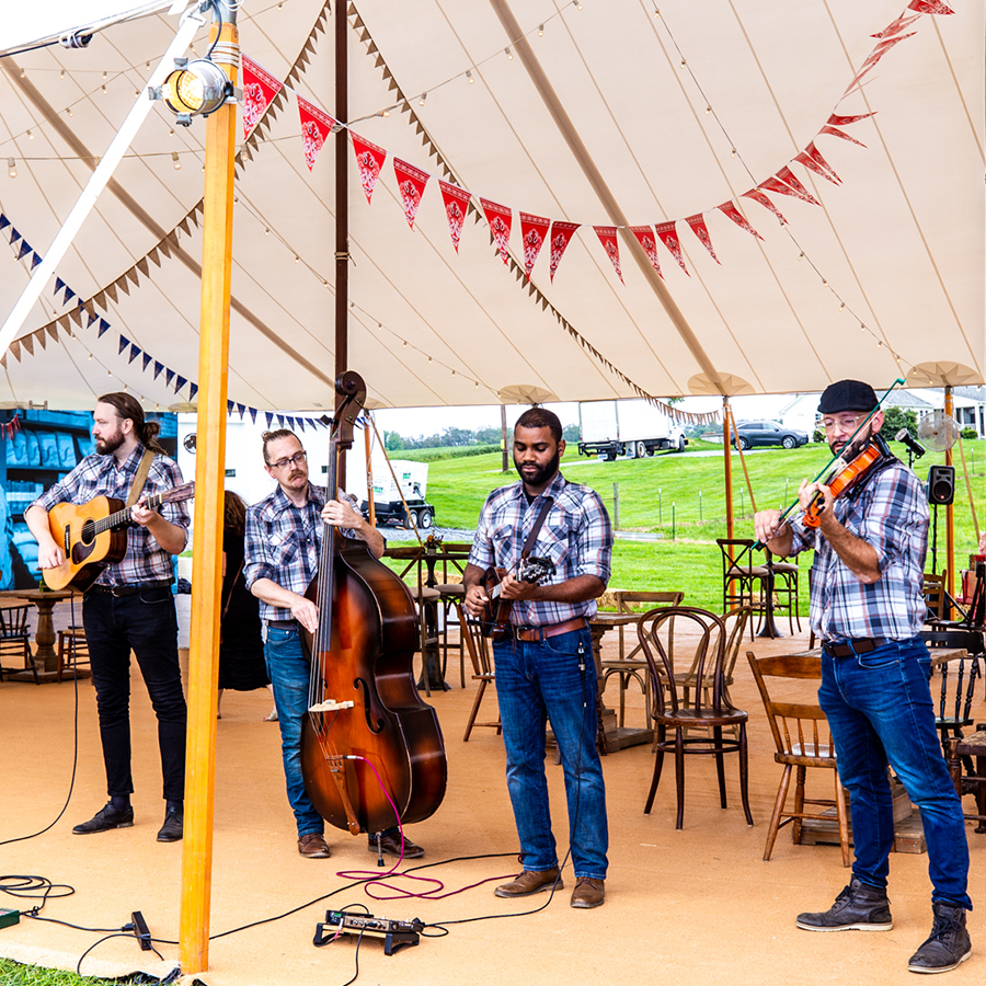 Bluegrass Revivalist 